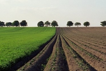 Javno otvaranje ponuda pristiglih na Javni natječaj za zakup poljoprivrednog zemljišta