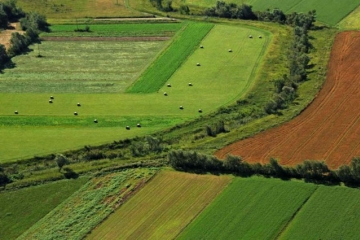 Poziv na Javni uvid-Program raspolaganja poljoprivrednim zemljištem